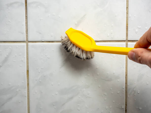 Best Mold Removal Company Near Me  in Parkersburg, IA