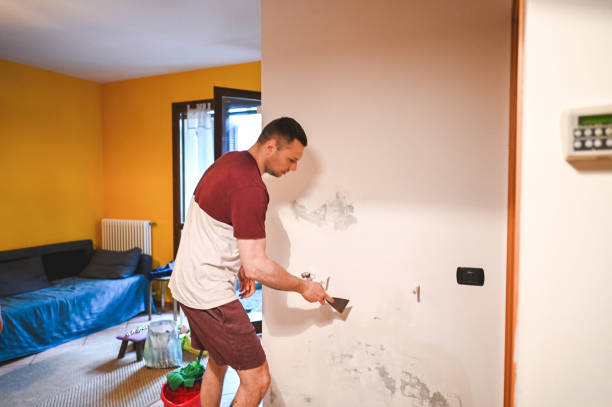Best Toxic Mold Removal  in Parkersburg, IA