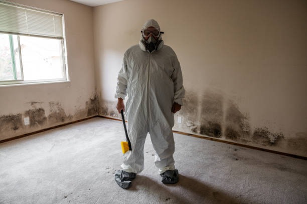 Best Local Mold Removal Service  in Parkersburg, IA